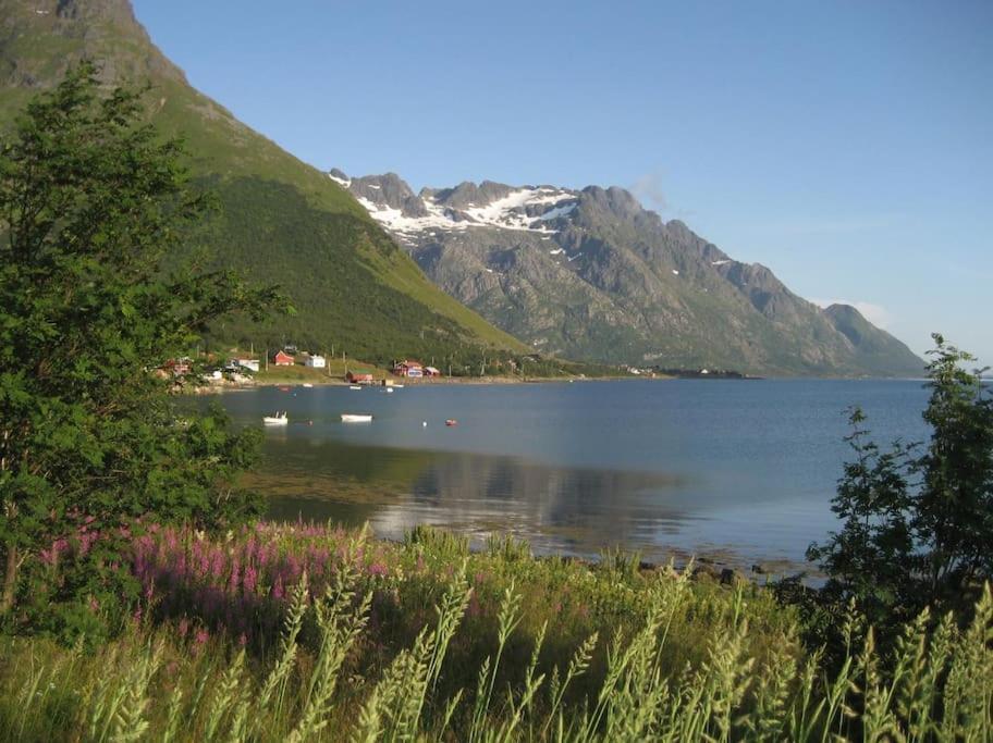 Charming House By The Sea, Lofoten! Laupstad Екстериор снимка